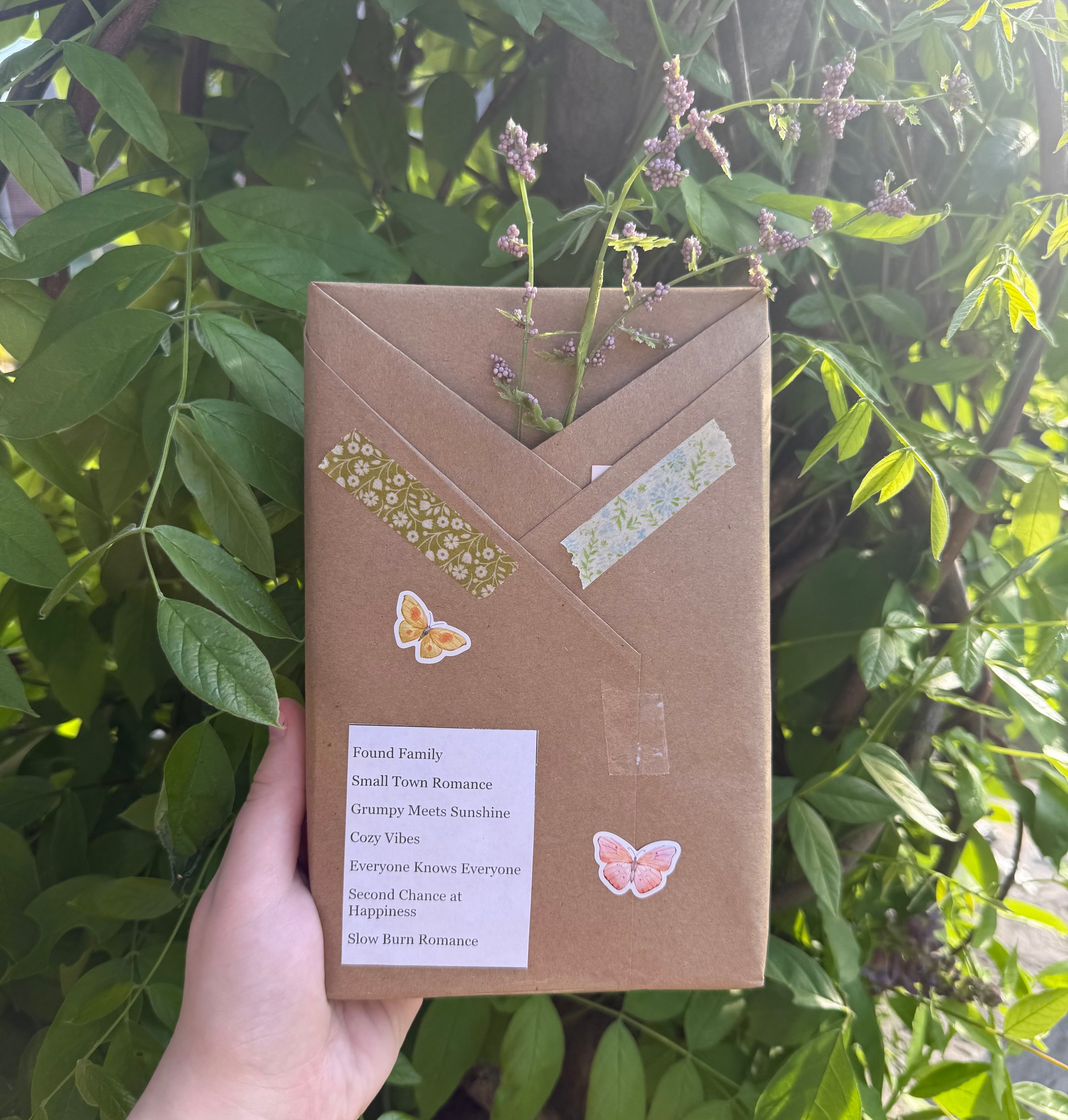 Blind Date with a Book (Surprise book)