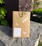 Blind Date with a Book (Surprise book)