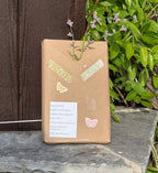 Blind Date with a Book (Surprise book)